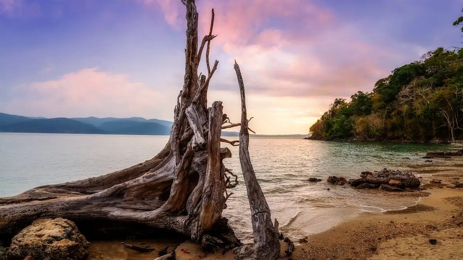 Chidiya Tapu, Andaman